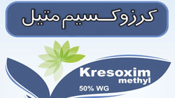 Kresoxim methyl 50% WP